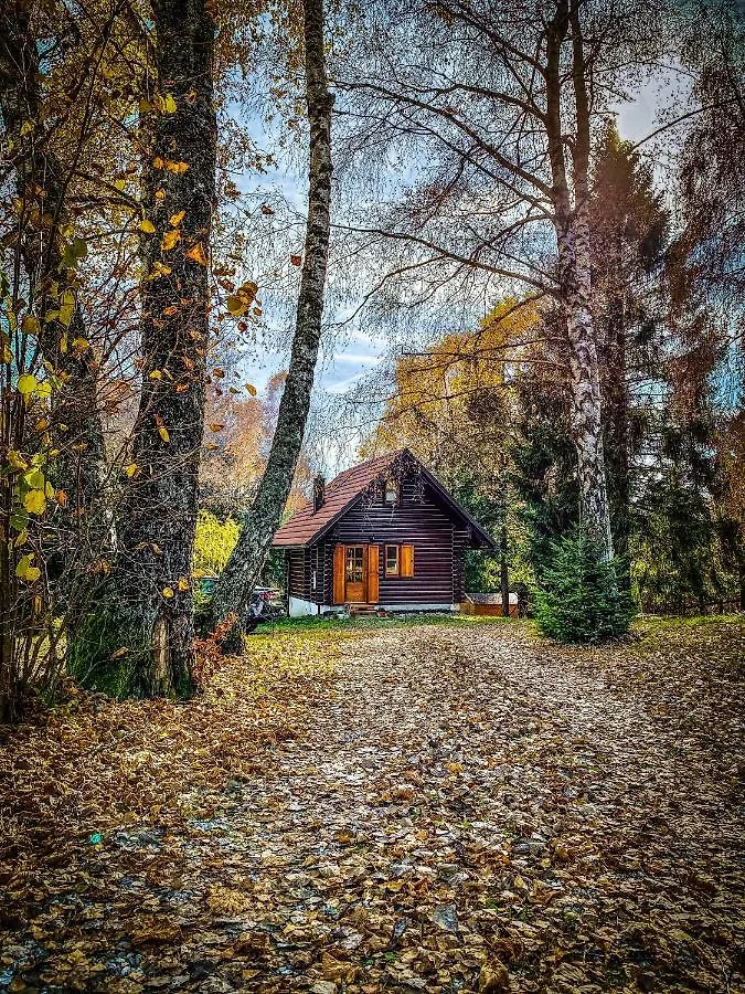 Pine Lodge Hlevci 0*,