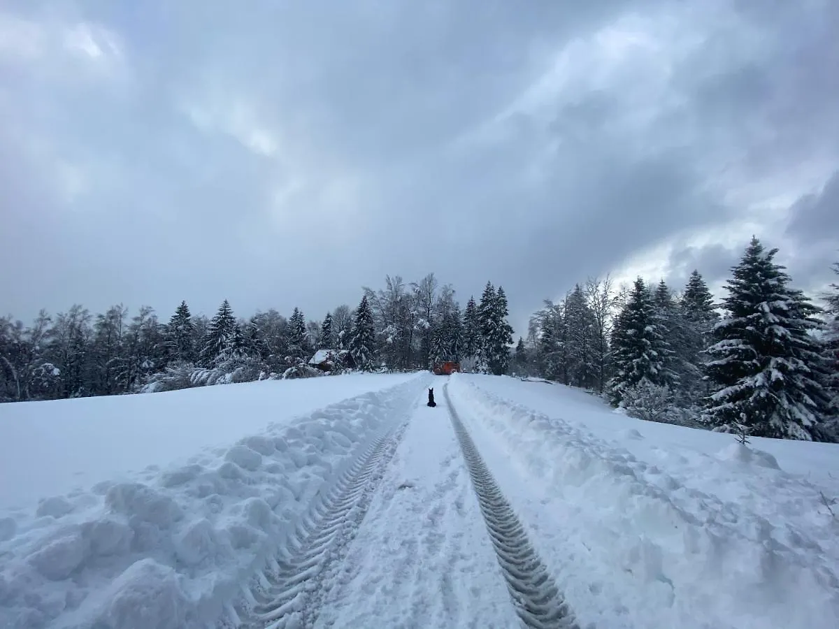 Pine Lodge Hlevci Kroatien